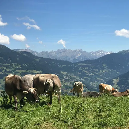 Ausblick Apartment